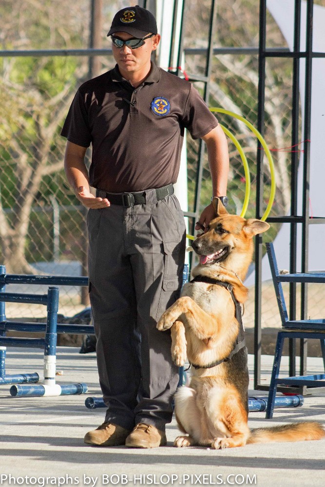 Police K9 unit dog show 